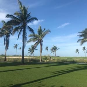 Meet your Posher, Jim